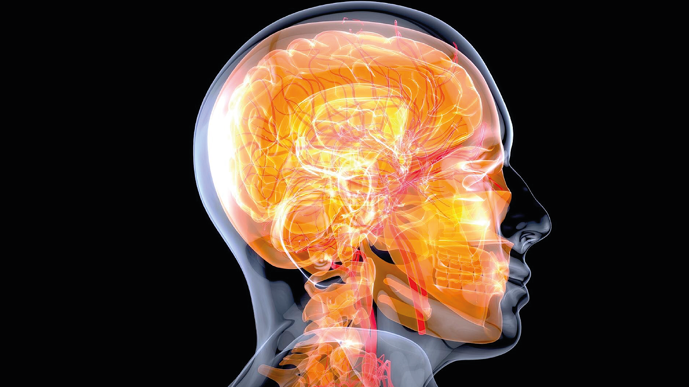 person holding silver fork and knife